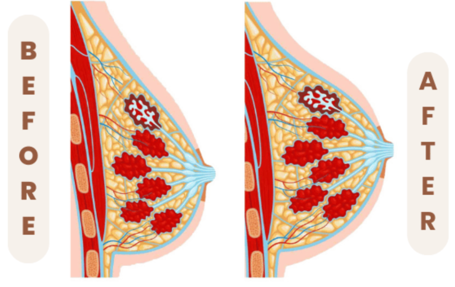 Screenshot-2025-02-20-at-15.26.28